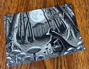 Witch Foraging: Full Moon Harvest