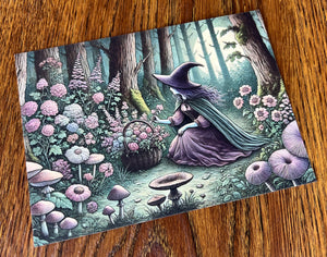 Witch Foraging: Moonlit Gathering