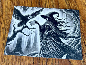 Whispers Through Wings